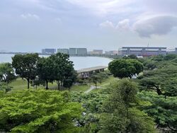 Blk 51 Teban Gardens Road (Jurong East), HDB Executive #565035081